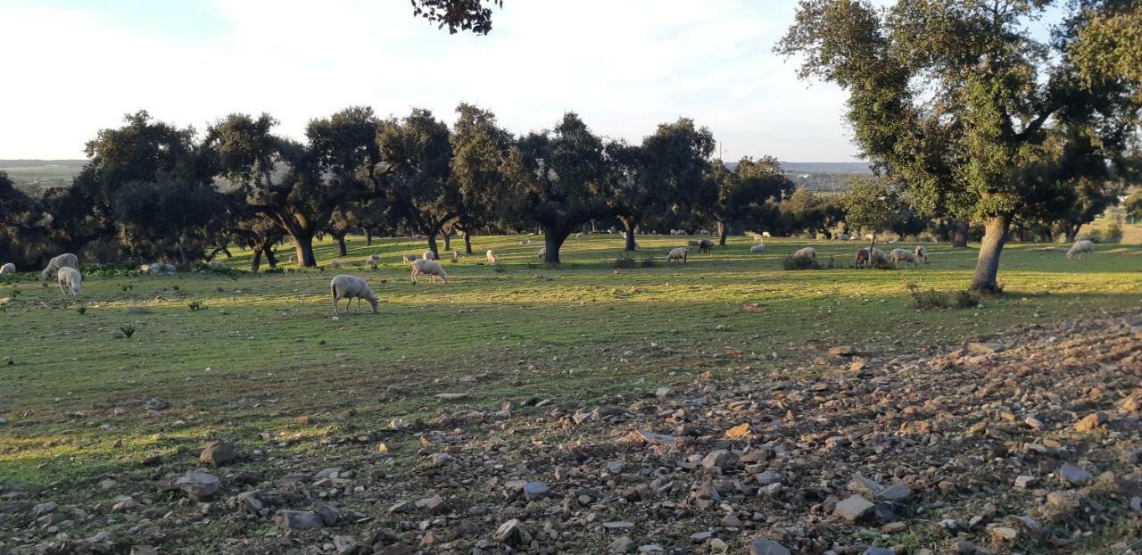 דירות אביס Casa Azul מראה חיצוני תמונה