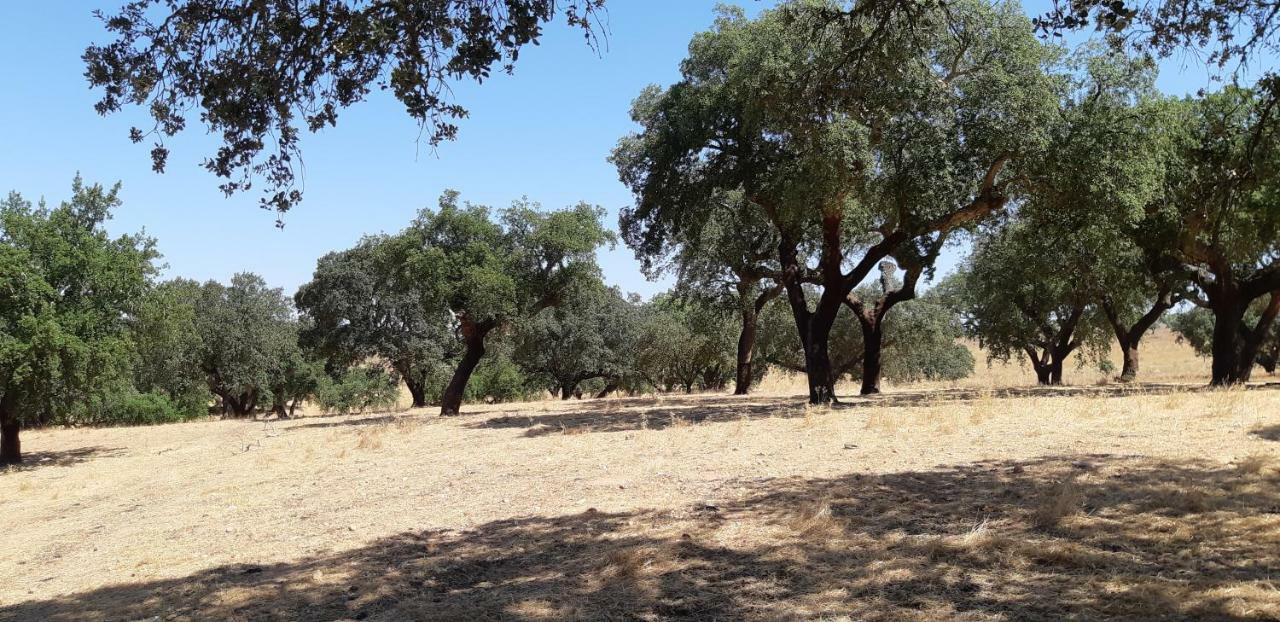 דירות אביס Casa Azul מראה חיצוני תמונה